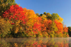 montreal-canada-image-foliage-fall.jpg