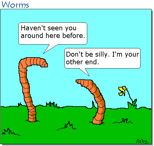 worm_cartoon.gif
